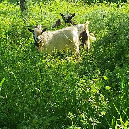 Casa 6 Personnes Quinta Pedras Da Lagoa الكوباسا